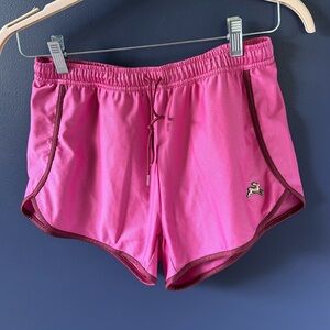 Tracksmith/ J. Crew Van Cortlandt Shorts Beet/Dahlia